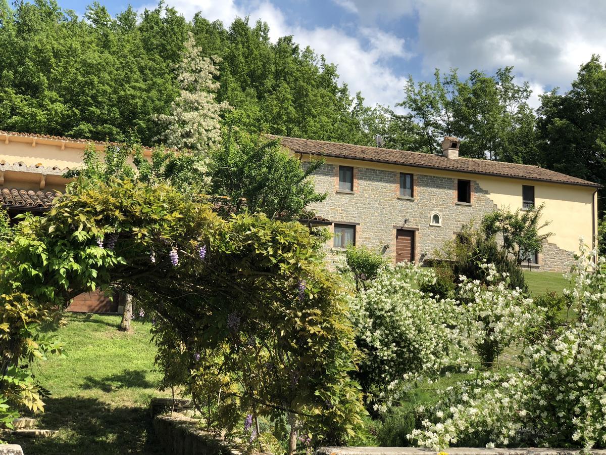 Agriturismo La Ferraia Pianello  Exterior foto